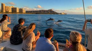 dolphin sightings on waikiki