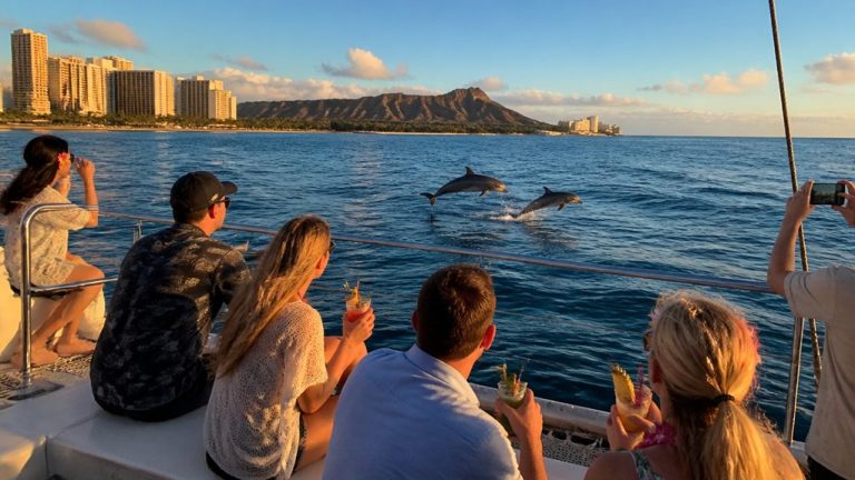 dolphin sightings on waikiki
